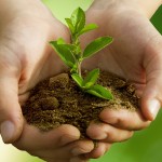 Propriétaire d’une maison écolo, pourquoi assurer votre maison ?