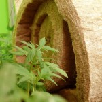 Faire construire sa piscine : quelques conseils