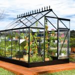 Installer un poulailler dans son jardin : conseils et astuces