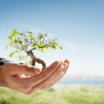 Un canapé écologique, cela existe !