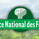 Comprendre la maison BBC