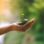 Agir de façon efficace en faveur du climat